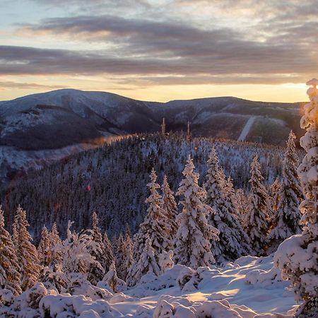 Horní Mísečky - Skvěle dostupné apartmány D u sjezdovky Exteriér fotografie